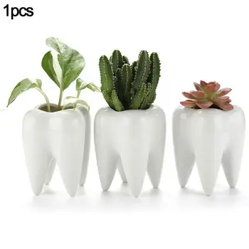1Pcs зъб форма настолна керамична саксия Обзавеждане за дома Сукулент сладък растение маса ваза цвете саксия басейн разсадник Cact W8Z0
